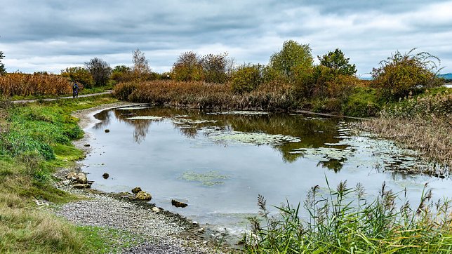 Bild: Am Helmestausee