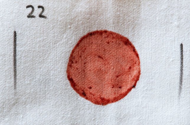 Bild: Test mit Marmelade-Flecken