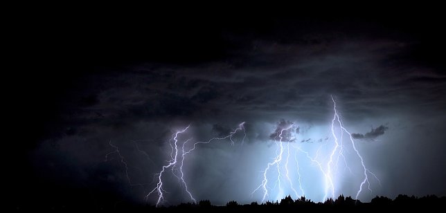 Bild: 