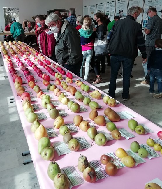 Bild: Obstsortentag in der Orangerie