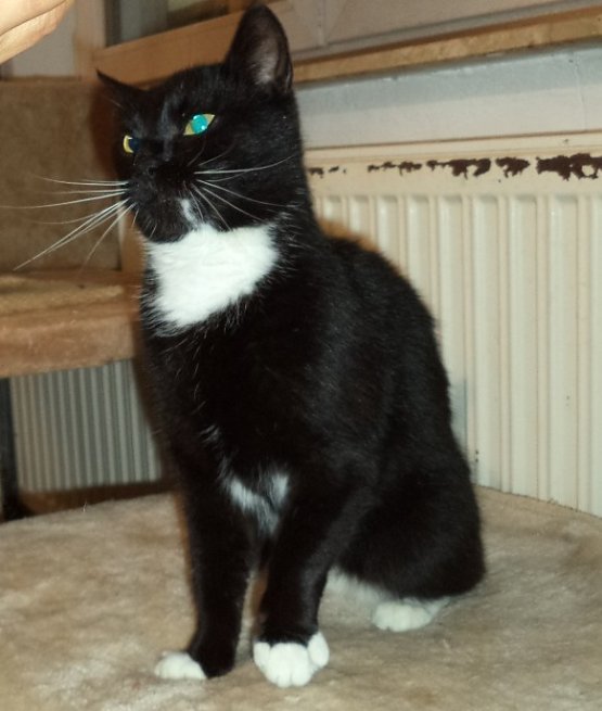Bild: Babsi Tier der Woche