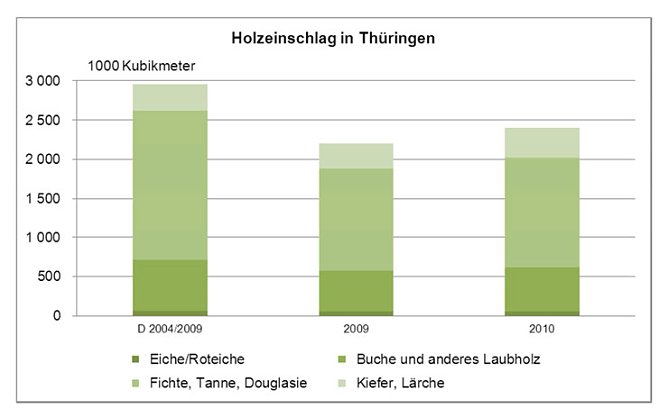 Grafik (Foto: TLS)