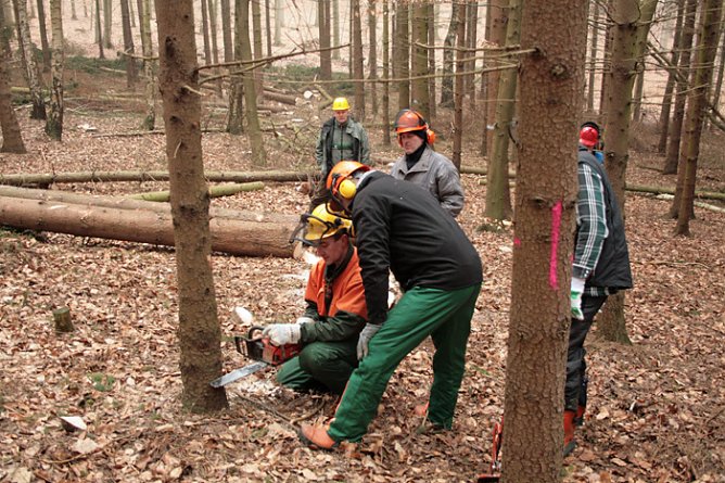 Motors&auml;genlehrgang im Forstamt Oldisleben (Foto: Forstamt Oldisleben)