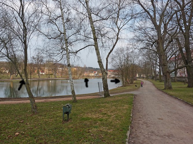 B&auml;nke im Schlosspark (Foto: Karl-Heinz Herrmann)