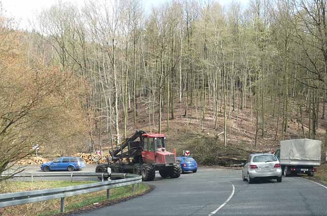 Baumf&auml;llung Bratwurst (Foto: Karl-Heinz Herrmann)