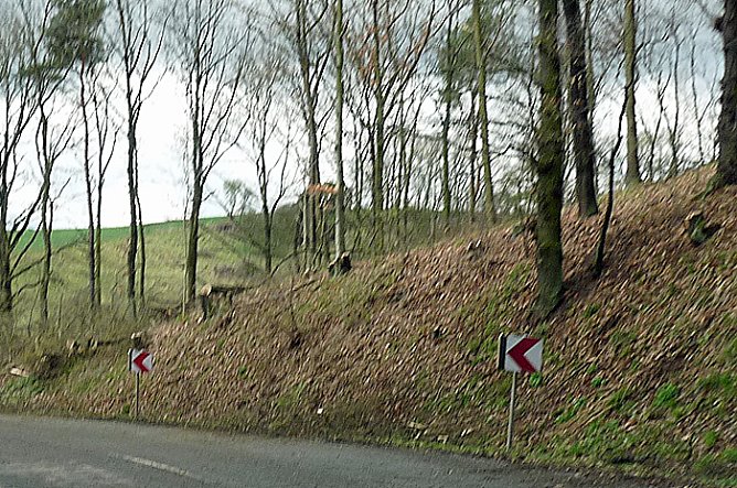 Baumf&auml;llung Bratwurst (Foto: Karl-Heinz Herrmann)