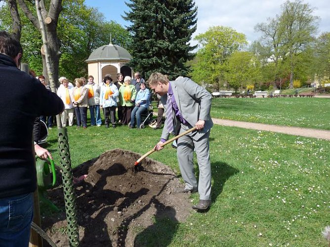 Baum gepflanzt (Foto: Karl-Heinz Herrmann)
