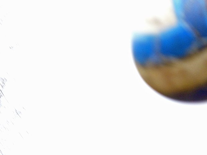 Fu&szlig;ballturnier im Borntal (Foto: Karl-Heinz Herrmann)