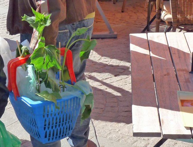 Start in den Mai (Foto: Karl-Heinz Herrmann)