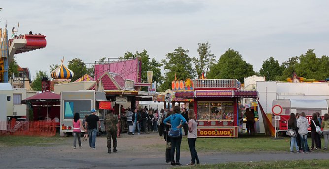Fliederkrone gesetzt (Foto: Karl-Heinz Herrmann) Fliederkrone gesetzt (Foto: Karl-Heinz Herrmann)