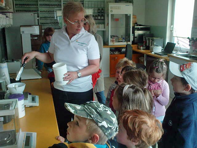 "Schlaufüchse" unterwegs (Foto: Käferland) "Schlaufüchse" unterwegs (Foto: Käferland)