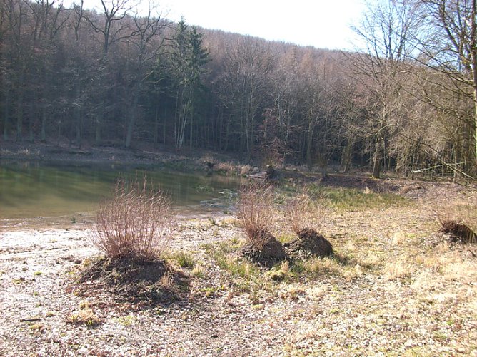 Pfaffenteich 2 (Foto: Karl-Heinz Herrmann)