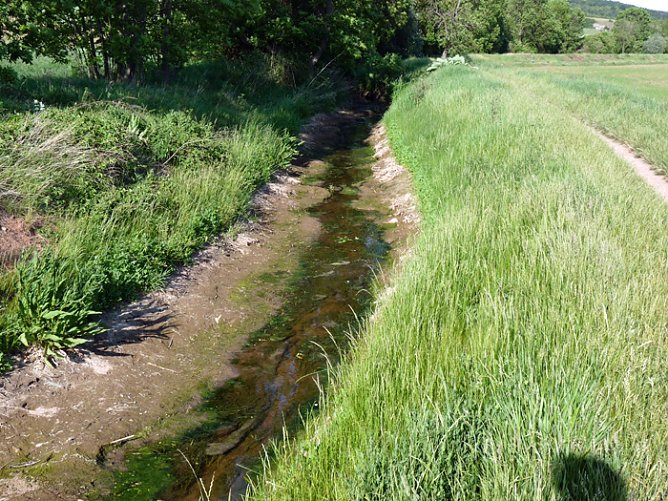 Nur noch Rinnsal (Foto: Karl-Heinz Herrmann)