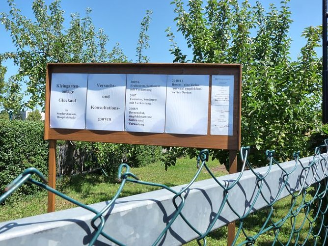 Bei Wettbewerb dabei (Foto: Karl-Heinz Herrmann)