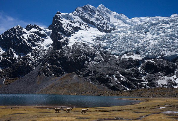 Phantastische Bilder (Foto: Tilman Graner)