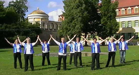 Vor dem Schloss getanzt (Foto: Katja Billert)