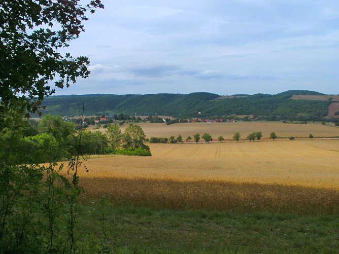 Waldp&auml;dagogisches Handbuch (Foto: Stadtjugendring Sondershausen)