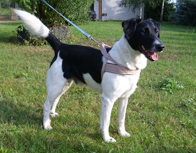 Tier der Woche (Foto: C. Knust)