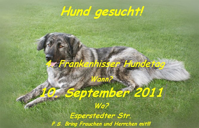 Hund-gesucht (Foto: Stadt Bad Frankenhausen) Hund-gesucht (Foto: Stadt Bad Frankenhausen)