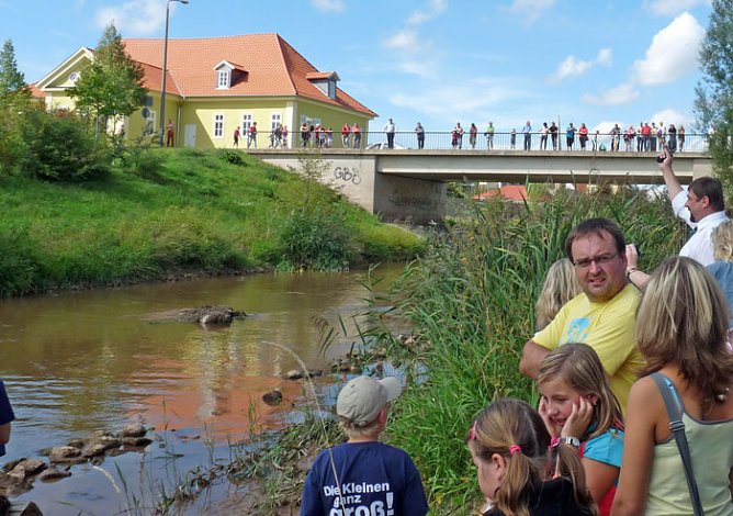 Glück gehabt? (Foto: Karl-Heinz Herrmann) Glück gehabt? (Foto: Karl-Heinz Herrmann)