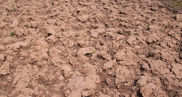 Umgegrabenes Gartenland (Foto: Siegmar Henkel)