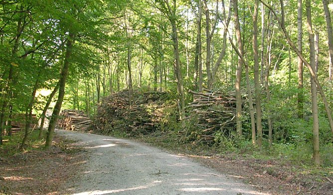 Bald Schrankwand (Foto: Karl-Heinz Herrmann)