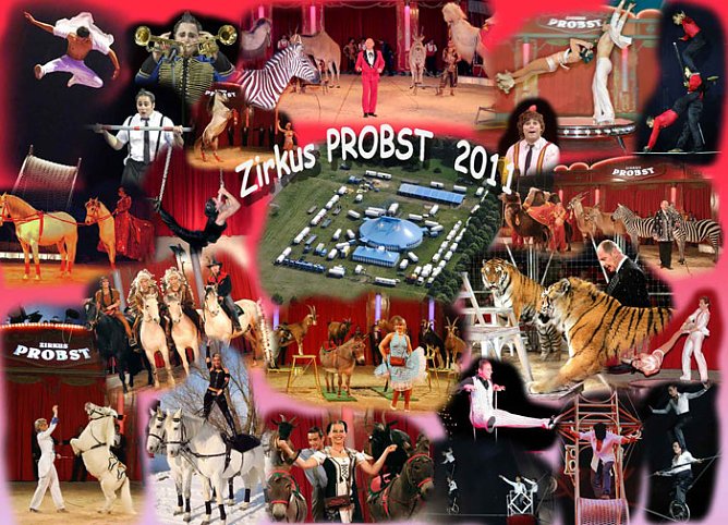 Zirkus Probst (Foto: Zirkus Probst)