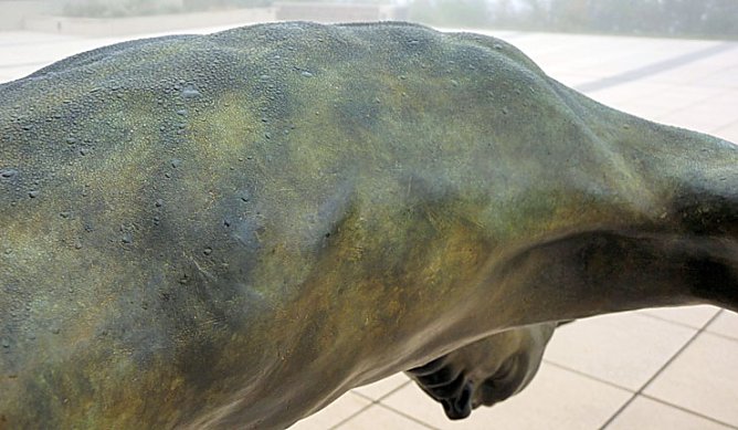 Natur genie&szlig;en (Foto: Karl-Heinz Herrmann)