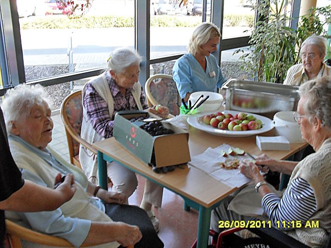 Kleingartenvereine spendeten Obst (Foto: T. Leipold)