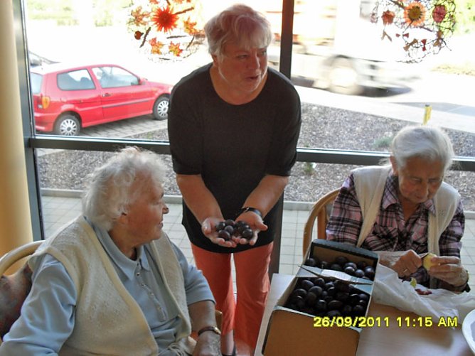 Kleingartenvereine spendeten Obst (Foto: T. Leipold)