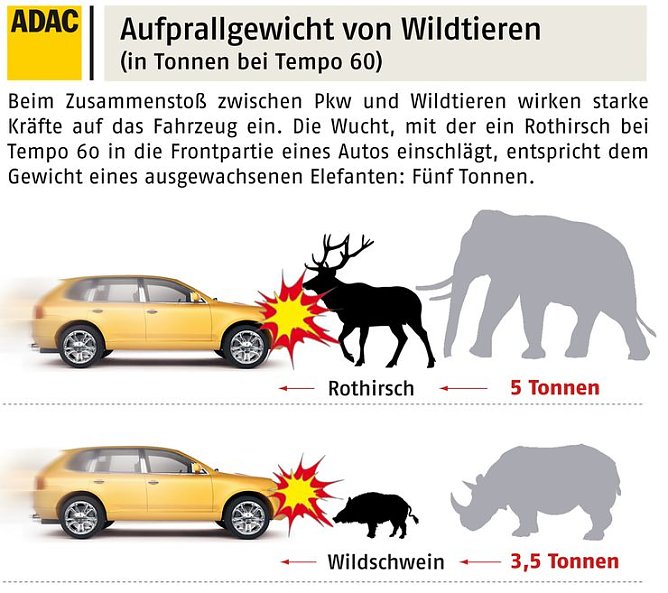 Grafik (Foto: ADAC) Grafik (Foto: ADAC)