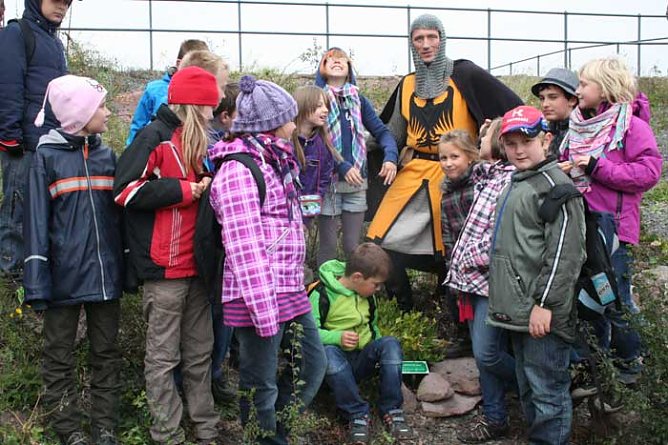 Kr&auml;uter soweit das Auge reicht (Foto: Kyffh&auml;usertourismusverband)
