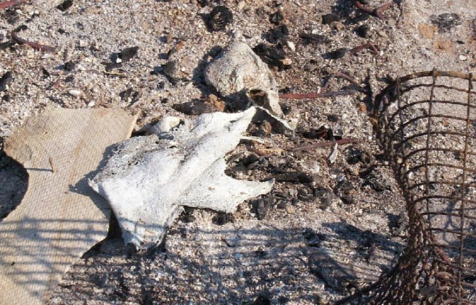 Maifeuer Gro&szlig;berndten (Foto: Andreas Links)