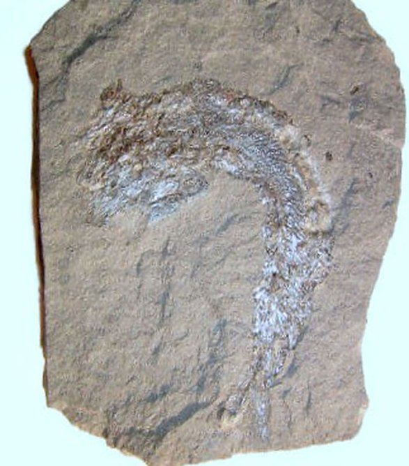 Initiativen zur Geschichte (Foto: Hans-Jürgen Schmidt) Initiativen zur Geschichte (Foto: Hans-Jürgen Schmidt)