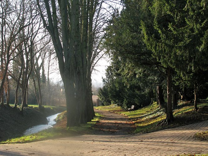 Advents-Impression (Foto: Sebastian Hey) Advents-Impression (Foto: Sebastian Hey)