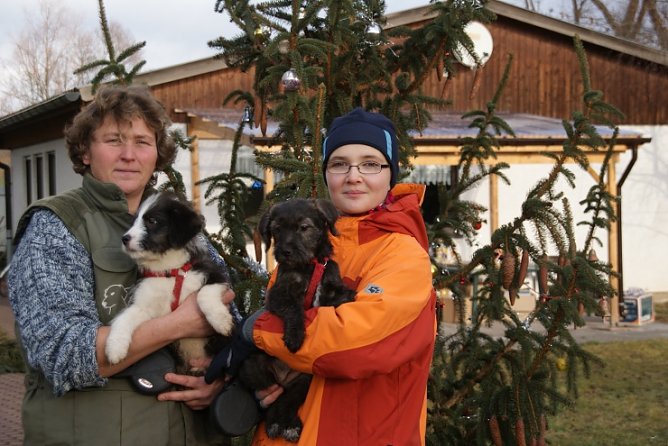 Keine Weihnachtsgeschenke (Foto: B. Gerstenberger) Keine Weihnachtsgeschenke (Foto: B. Gerstenberger)