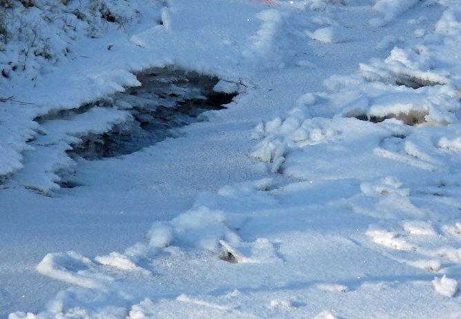 Vorsicht Eis! (Foto: Karl-Heinz Herrmann)