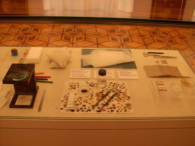 Museumstag Sondershausen (Foto: Karl-Heinz Herrmann) Museumstag Sondershausen (Foto: Karl-Heinz Herrmann)