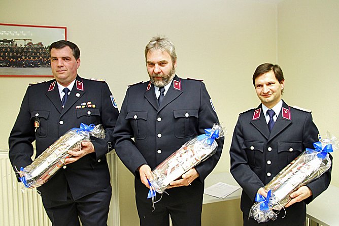 Zwei goldene Sterne (Foto: Günter Herting) Zwei goldene Sterne (Foto: Günter Herting)