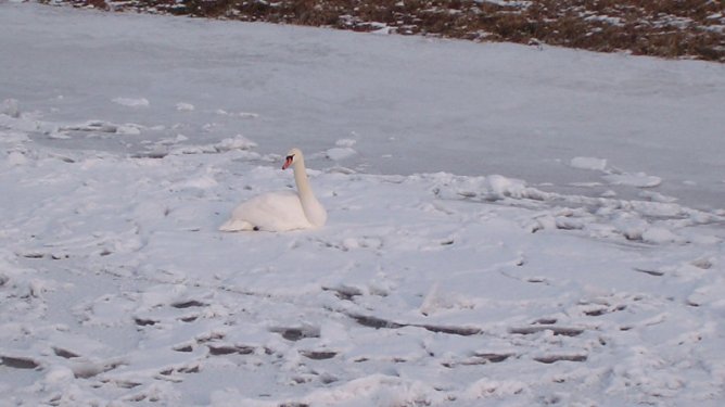 Warum das und nicht das? (Foto: Familie Kieper) Warum das und nicht das? (Foto: Familie Kieper)