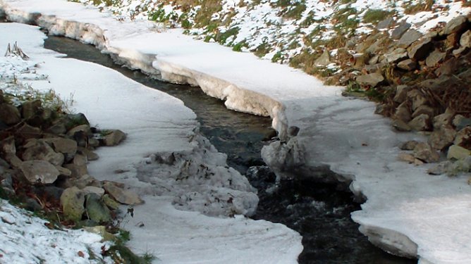 Warum das und nicht das? (Foto: Familie Kieper) Warum das und nicht das? (Foto: Familie Kieper)