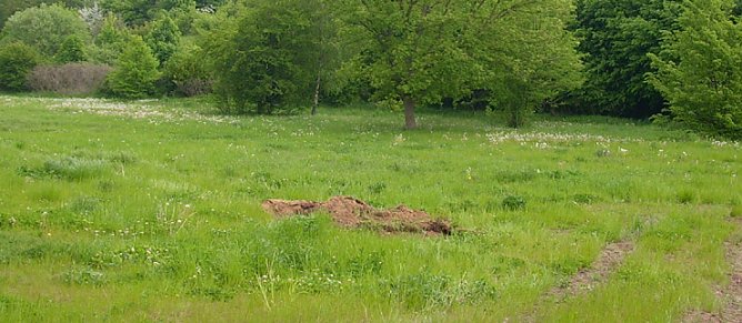Bau Skaterhalle SDH (Foto: Karl-Heinz Herrmann)