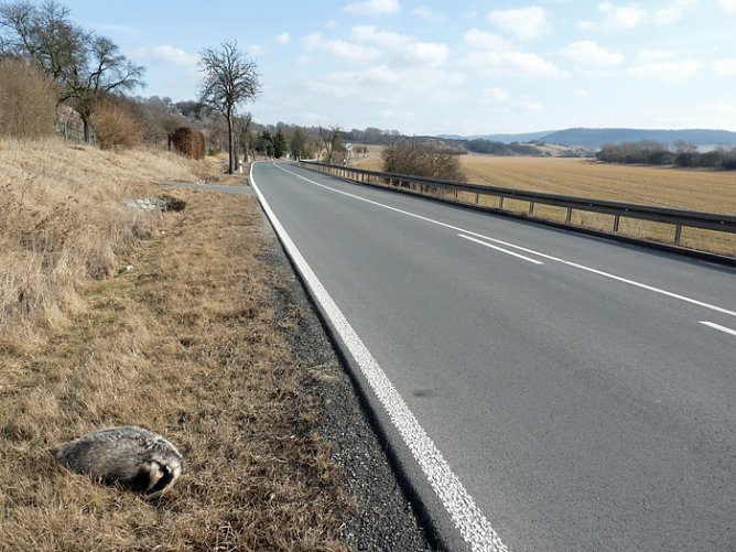 Der Schein trügt (Foto: Karl-Heinz Herrmann) Der Schein trügt (Foto: Karl-Heinz Herrmann)
