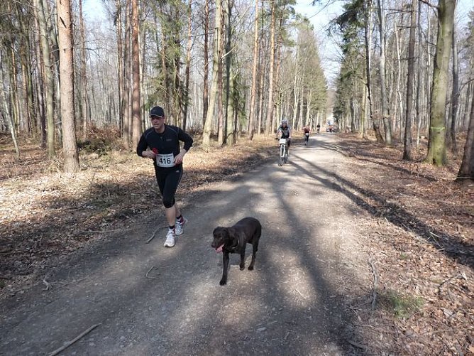 Rekordbeteiligung beim Possenlauf (1) (Foto: Karl-Heinz Herrmann) Rekordbeteiligung beim Possenlauf (1) (Foto: Karl-Heinz Herrmann)