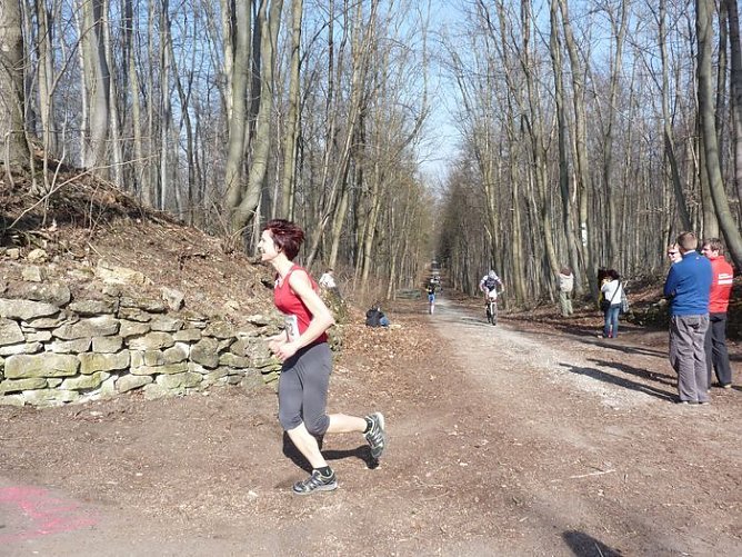 Rekordbeteiligung beim Possenlauf (1) (Foto: Rekordbeteiligung beim Possenlauf (1)) Rekordbeteiligung beim Possenlauf (1) (Foto: Rekordbeteiligung beim Possenlauf (1))