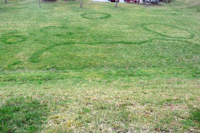 Sehr seltsam! (Foto: Karl-Heinz Herrmann)