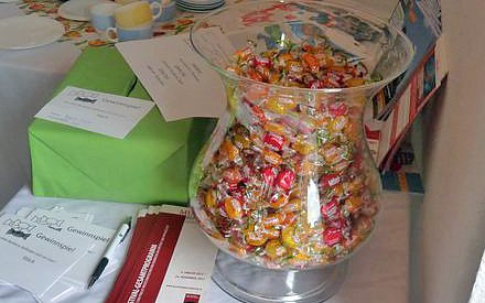 Diese Fliege brauchen wir in der Landespolitik (Foto: Karl-Heinz Herrmann)