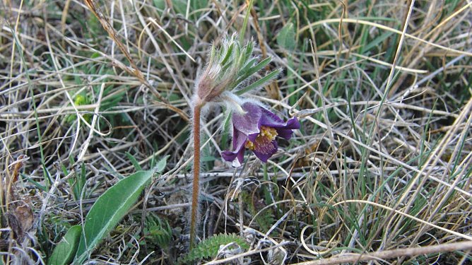 Für iPhone und Co. (Foto: B. Schwarzberg) Für iPhone und Co. (Foto: B. Schwarzberg)