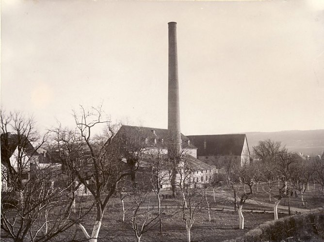 Was B&auml;ume erz&auml;hlen (2. Teil) (Foto: Regionalmuseum Bad Frankenhausen)