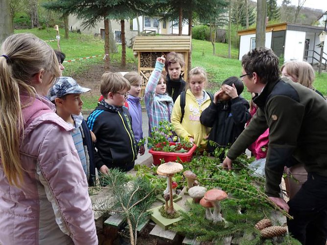 Spielerische Waldp&auml;dagogik (Foto: Karl-Heinz Herrmann)